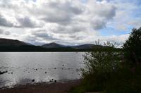 116 Cairngorm Mountains, Blick über den Loch Morlich
