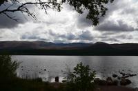 117 Cairngorm Mountains, Blick über den Loch Morlich