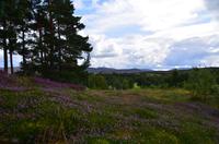 125 Newtonmore, Highland Folk Museum