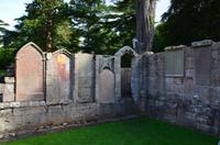 259 Dryburgh Abbey