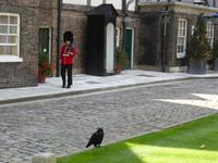 Tower - Wache und Rabe