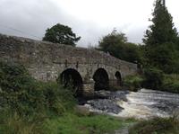 alte Brücke im Dartmoor