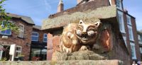 147 Chester, Grinsekatze