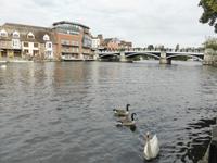 Themse zwischen Windsor und Eton