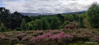 148 Cairngorm Mountains