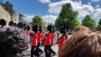 Windsor 20180510 115814