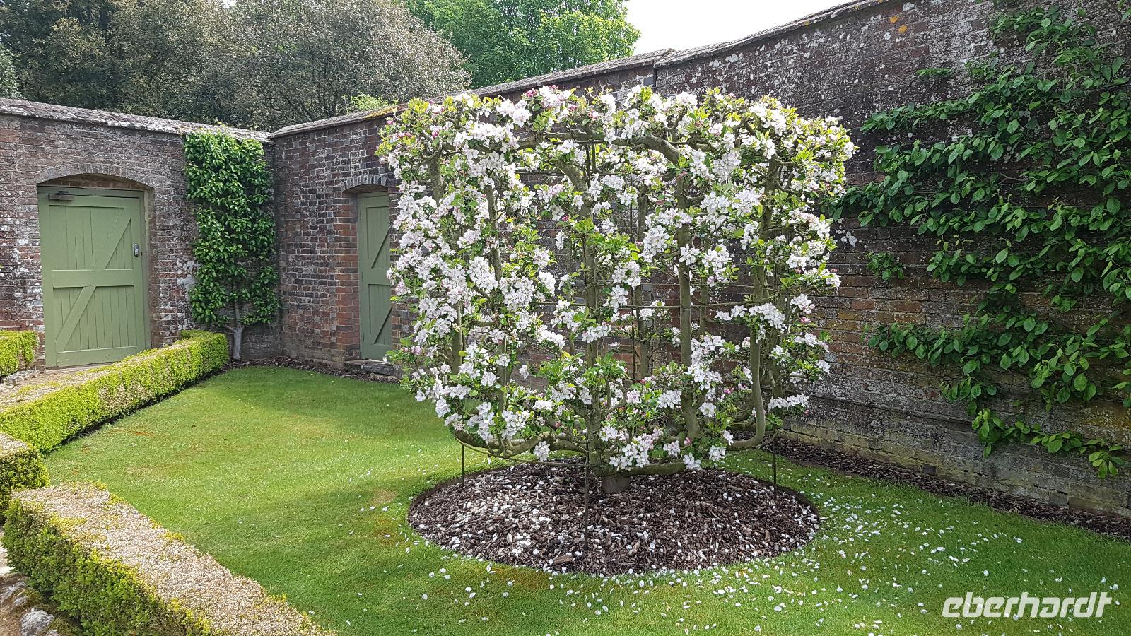 West Dean Gardens 20180513 130450