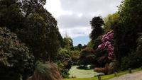 The Lost Gardens of Heligan 20180515 132623