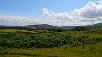 158 Dartmoor NP