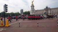 Wachablösung am Buckingham Palace - ein Erlebnis!