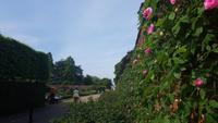 Hampton Court Palace 20180518_174058