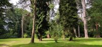 159 Arley Arboretum and Gardens