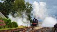 159 Strathspey Railway, Broomhill