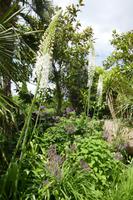 Garten von Arundel Castle