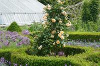 Garten von Arundel Castle