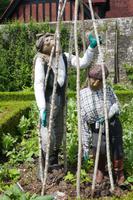 Gemüsegarten Arundel Castle