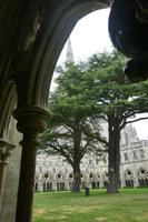 Kreuzgang Kathedrale Salisbury