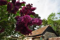 Südengland - Isle of Wight - Godeshill