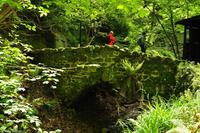 Südengland - Isle of Wight - Shanklin Chine