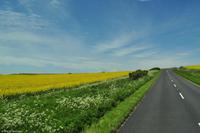 Südengland - Isle of Wight