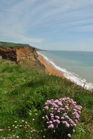 Südengland - Isle of Wight - Elephant Beach