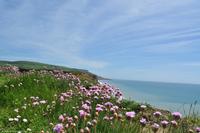 Südengland - Isle of Wight - Elephant Beach