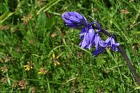 Südengland - Isle of Wight - Needles