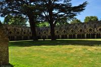 Südengland - Salisbury Cathedral