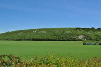 Südengland - Fovant Badges