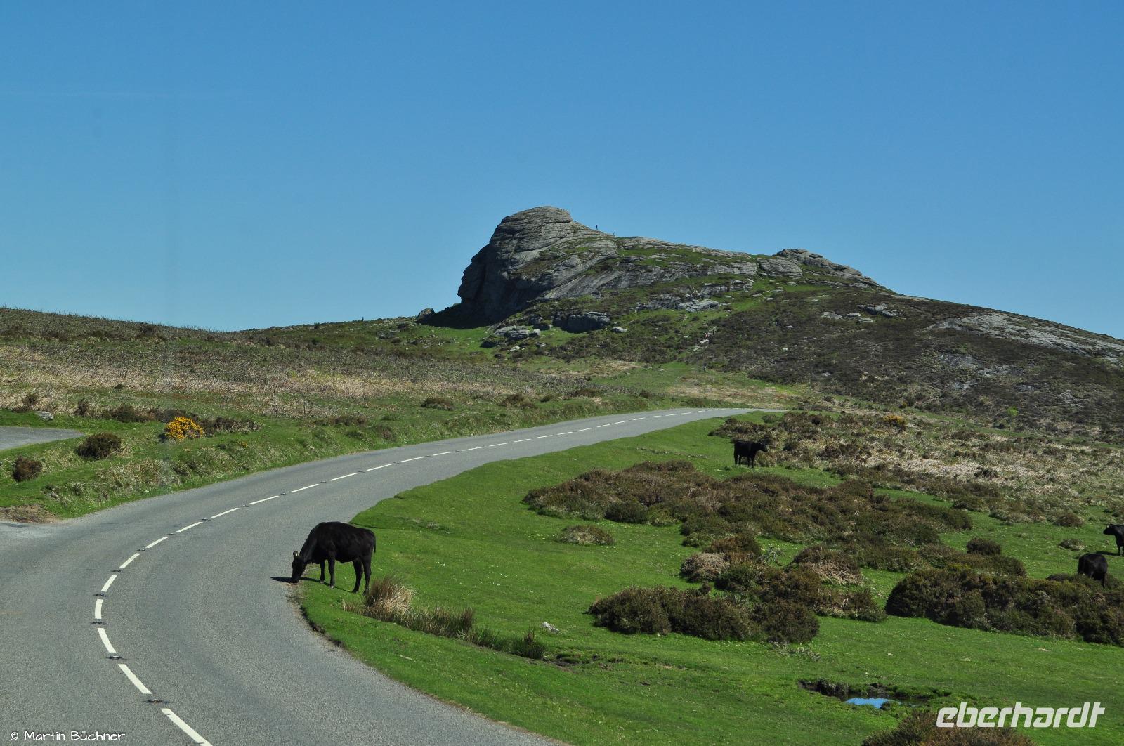 Südengland - Dartmoor - Hay Tor