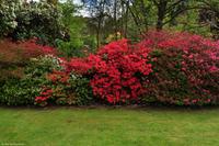 Südengland - Lanhydrock House & Gardens