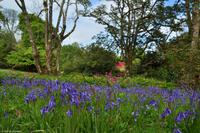 Südengland - Lanhydrock House & Gardens