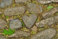 Südengland - Cornwall - Marizon - St. Michael's Mount - Giant heart - Herz des Riesen