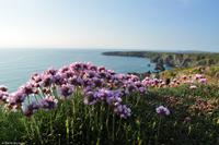 Südengland - Cornwall - Bedruthan's Steps