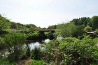 Südengland - Devon - Dartmoor - Clapper Bridge in Postbridge