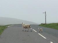 im Dartmoor unterwegs