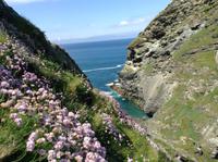 die Klippen vor Tintagel