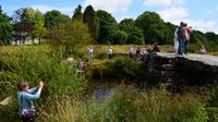 160 Dartmoor NP, Postbridge