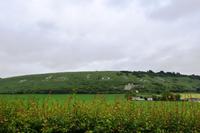 0603 Devon, Fovant Badges