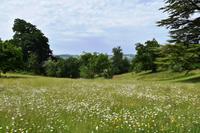 0611 Knighthayes Court