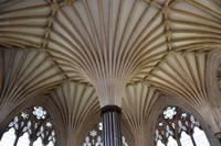 0642 Wells Cathedral, Capitelsaal