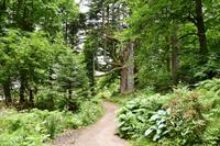 0779 Isle of Skye, Armadale Castle & Garden