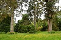 0780 Isle of Skye, Armadale Castle & Garden