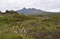 0793 Isle of Skye, Sligachan