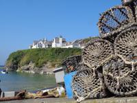 Im Hafen von Port Isaac