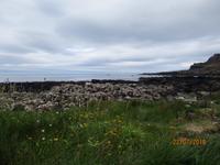Giants Causeway