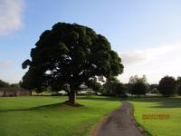 Slieve Russel Hotel Ballyconell