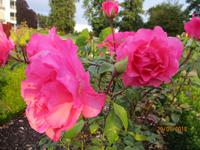 Slieve Russel Hotel Ballyconell