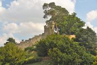 Warwick Castle