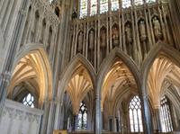 wunderschöne Details